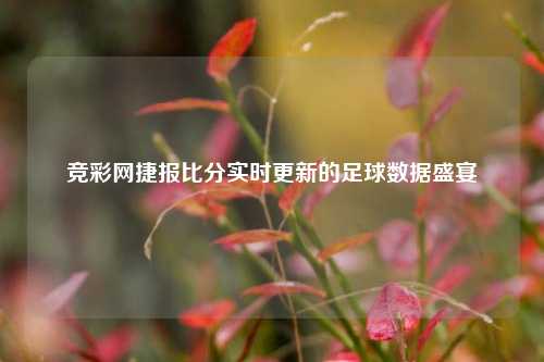 竞彩网捷报比分实时更新的足球数据盛宴