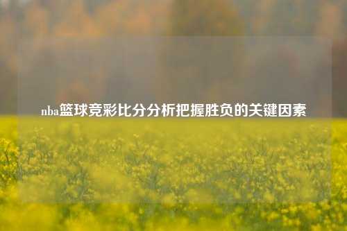 nba篮球竞彩比分分析把握胜负的关键因素