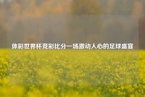 体彩世界杯竞彩比分一场激动人心的足球盛宴