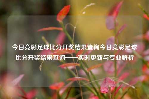 今日竞彩足球比分开奖结果查询今日竞彩足球比分开奖结果查询——实时更新与专业解析