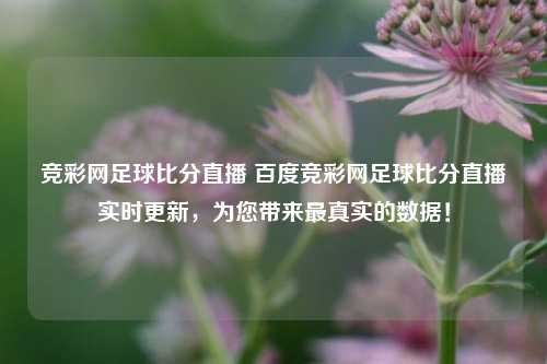 竞彩网足球比分直播 百度竞彩网足球比分直播实时更新，为您带来最真实的数据！