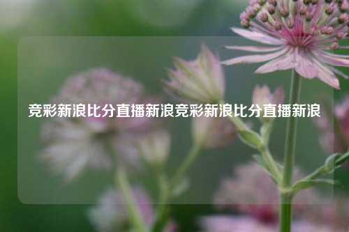 竞彩新浪比分直播新浪竞彩新浪比分直播新浪