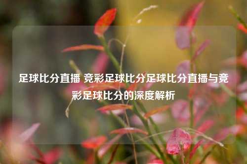 足球比分直播 竞彩足球比分足球比分直播与竞彩足球比分的深度解析