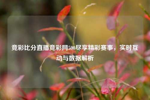 竞彩比分直播竞彩网500尽享精彩赛事，实时互动与数据解析
