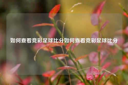 如何查看竞彩足球比分如何查看竞彩足球比分