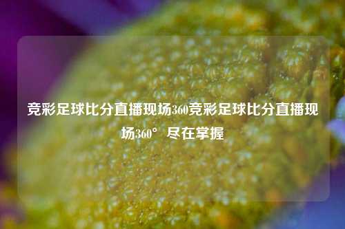 竞彩足球比分直播现场360竞彩足球比分直播现场360°尽在掌握