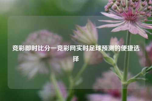 竞彩即时比分一竞彩网实时足球预测的便捷选择