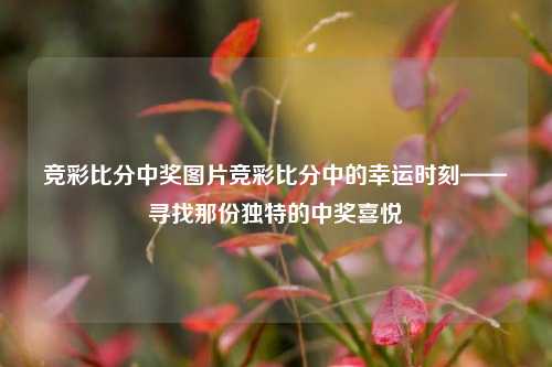 竞彩比分中奖图片竞彩比分中的幸运时刻——寻找那份独特的中奖喜悦
