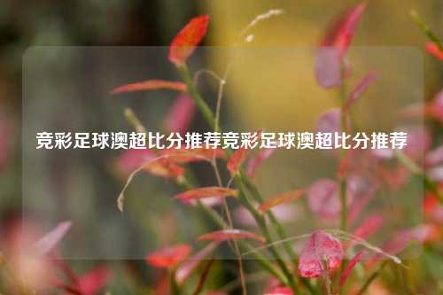 竞彩足球澳超比分推荐竞彩足球澳超比分推荐
