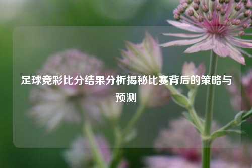 足球竞彩比分结果分析揭秘比赛背后的策略与预测