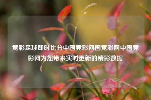 竞彩足球即时比分中国竞彩网国竞彩网中国竞彩网为您带来实时更新的精彩数据