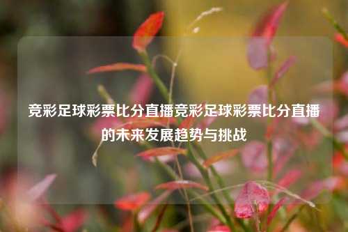 竞彩足球彩票比分直播竞彩足球彩票比分直播的未来发展趋势与挑战