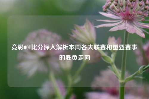 竞彩001比分深入解析本周各大联赛和重要赛事的胜负走向