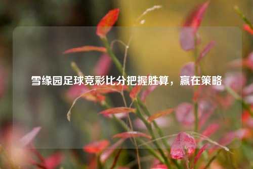 雪缘园足球竞彩比分把握胜算，赢在策略