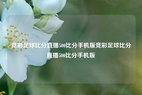 竞彩足球比分直播500比分手机版竞彩足球比分直播500比分手机版