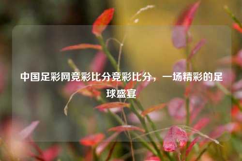 中国足彩网竞彩比分竞彩比分，一场精彩的足球盛宴