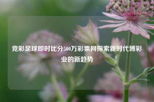 竞彩足球即时比分500万彩票网探索新时代博彩业的新趋势