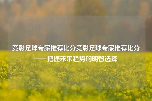 竞彩足球专家推荐比分竞彩足球专家推荐比分——把握未来趋势的明智选择