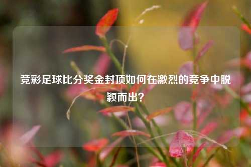 竞彩足球比分奖金封顶如何在激烈的竞争中脱颖而出？