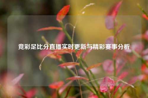 竞彩足比分直播实时更新与精彩赛事分析