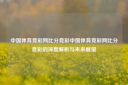 中国体育竞彩网比分竞彩中国体育竞彩网比分竞彩的深度解析与未来展望