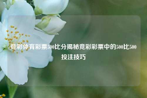 竞彩体育彩票500比分揭秘竞彩彩票中的500比500投注技巧