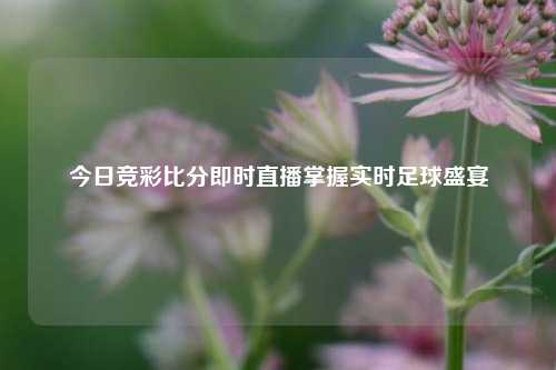 今日竞彩比分即时直播掌握实时足球盛宴
