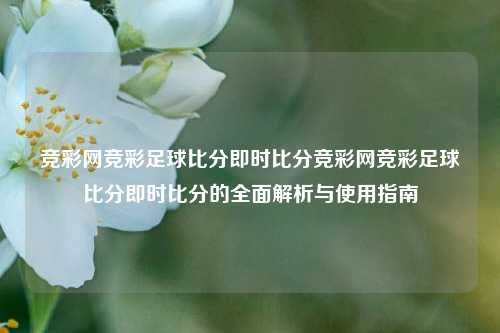 竞彩网竞彩足球比分即时比分竞彩网竞彩足球比分即时比分的全面解析与使用指南