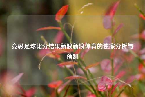 竞彩足球比分结果新浪新浪体育的独家分析与预测
