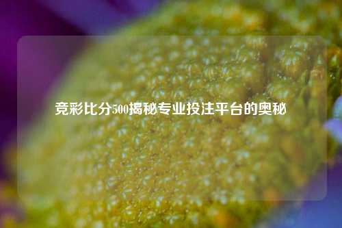 竞彩比分500揭秘专业投注平台的奥秘