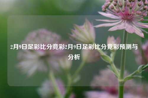 2月9日足彩比分竞彩2月9日足彩比分竞彩预测与分析