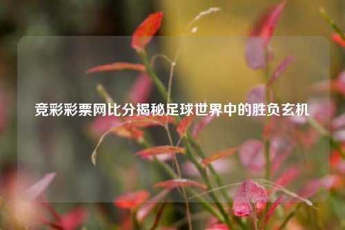 竞彩彩票网比分揭秘足球世界中的胜负玄机