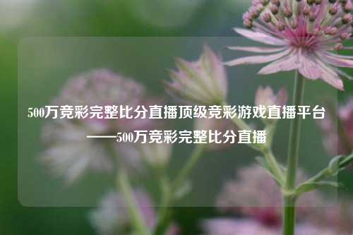 500万竞彩完整比分直播顶级竞彩游戏直播平台——500万竞彩完整比分直播