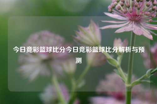 今日竞彩篮球比分今日竞彩篮球比分解析与预测