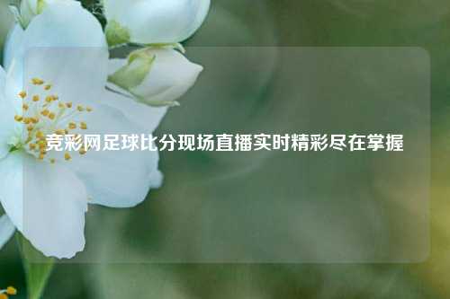 竞彩网足球比分现场直播实时精彩尽在掌握