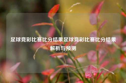 足球竞彩比赛比分结果足球竞彩比赛比分结果解析与预测