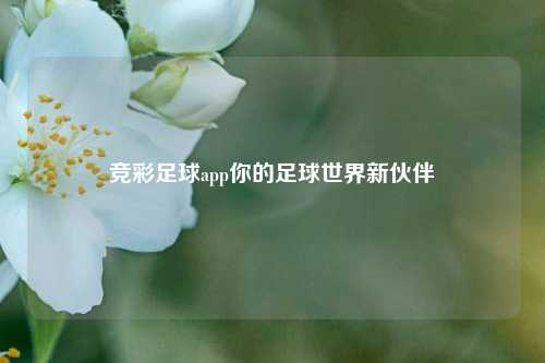 竞彩足球app你的足球世界新伙伴