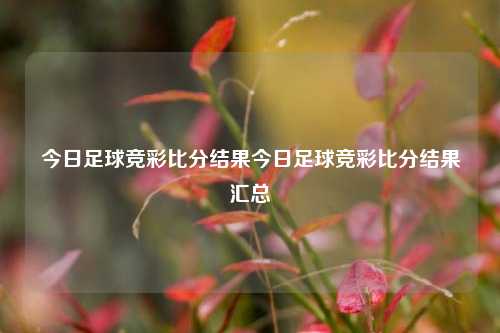 今日足球竞彩比分结果今日足球竞彩比分结果汇总