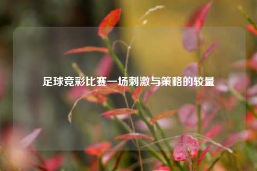 足球竞彩比赛一场刺激与策略的较量