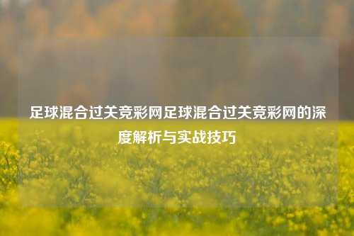 足球混合过关竞彩网足球混合过关竞彩网的深度解析与实战技巧