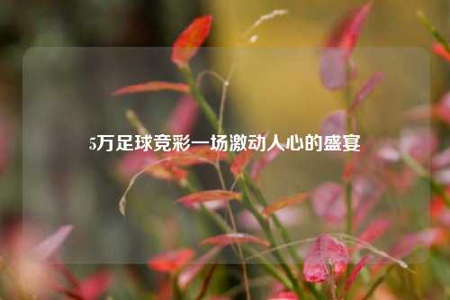 5万足球竞彩一场激动人心的盛宴