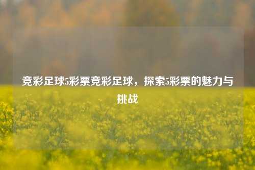 竞彩足球5彩票竞彩足球，探索5彩票的魅力与挑战