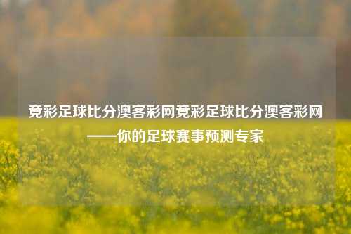 竞彩足球比分澳客彩网竞彩足球比分澳客彩网——你的足球赛事预测专家