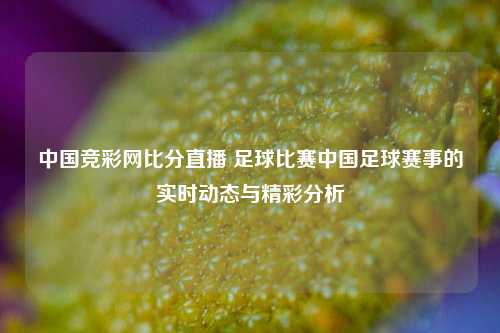 中国竞彩网比分直播 足球比赛中国足球赛事的实时动态与精彩分析