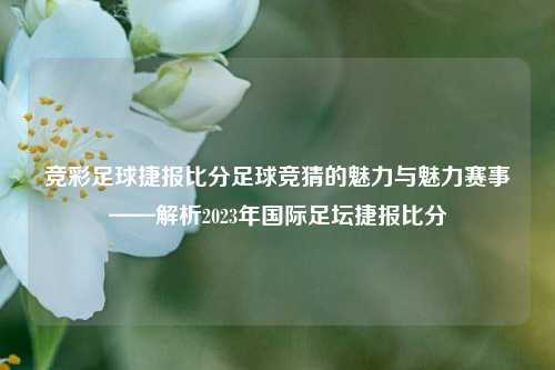 竞彩足球捷报比分足球竞猜的魅力与魅力赛事——解析2023年国际足坛捷报比分