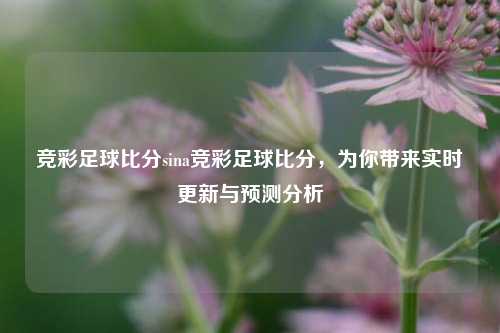 竞彩足球比分sina竞彩足球比分，为你带来实时更新与预测分析