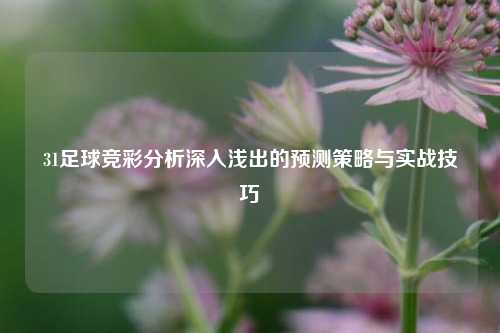 31足球竞彩分析深入浅出的预测策略与实战技巧