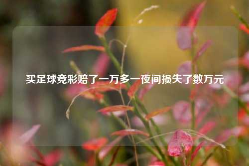 买足球竞彩赔了一万多一夜间损失了数万元