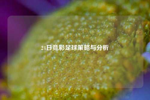 24日竞彩足球策略与分析