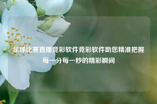 足球比赛直播竞彩软件竞彩软件助您精准把握每一分每一秒的精彩瞬间